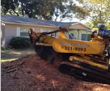 Stump Grinding in Clearwater